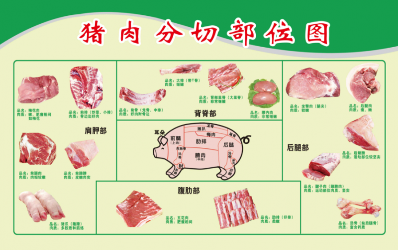 猪肉分布图及烹饪方法图片