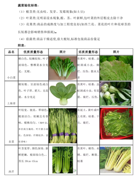 生鲜配送公司食材采购验收标准是什么 附蔬菜验收图表 蔬东坡商学院