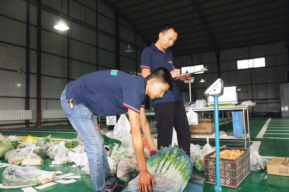 实操六问（下）：生鲜配送企业如何迈向高效运营之路？