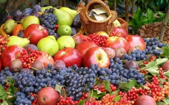 蔬菜水果新零售怎么做呢？传统店铺该如何成功转型？