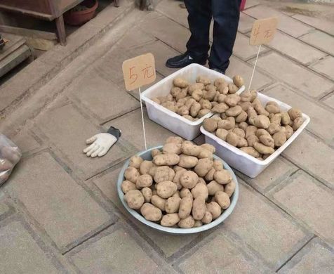 生鲜供应链平台哪个比较好？疫情期间的滞销产品有了绿色通道？
