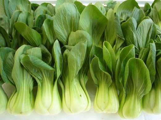 全国最大的蔬菜交易平台是什么？中国最值得逛的菜市场有哪些？