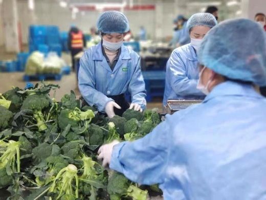 群众如何做好疫情防护？疫情期间生鲜配送企业都是如何做的？