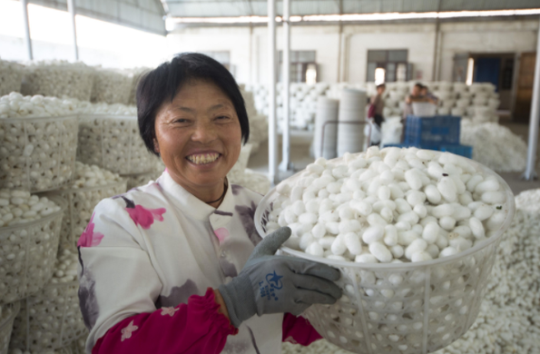 我国农产品流通的四大环节是哪些？重点在哪里？
