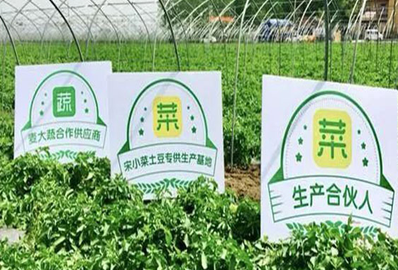 宋小菜供应商怎么样?盘点宋小菜供应商三大亮点！