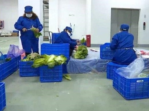 生鲜分拣员累吗？分拣过程中的困难有哪些？