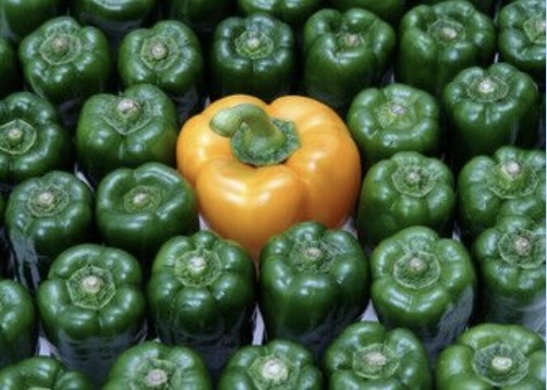 有机蔬菜配送面临哪些问题？经营有机蔬菜配送中心需要具备哪些能力？