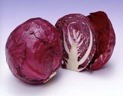 菜市场20个生意怎么样？菜市场赚钱的生意是什么?