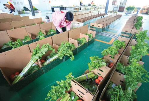 农产品配送中心重要吗？怎样建造农产品配送中心？