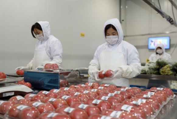 生鲜加工最大的问题点在哪里？消费者最担心的是什么？