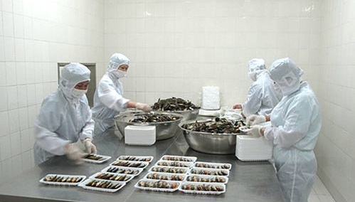 做生鲜加工需要什么？影响生鲜加工有哪些因素？