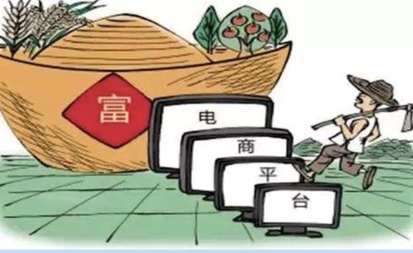 怎样通过网络销售蔬菜？它目前存在的问题又有哪些?