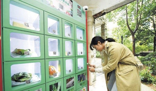 设立小区生鲜蔬菜投放柜有哪些优势？在未来发展如何？
