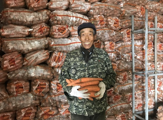 我国生鲜平均损耗率高达10%，如何控制生鲜损耗?