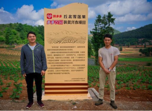 多多农园采用的是哪种电商营销模式？多多农园为何受农民和地方政府欢迎？