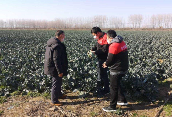 爱库存爱家助农怎么样？解决了怎样的问题？