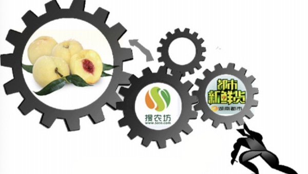 搜农坊是哪里的？搜农坊的挑战与机遇