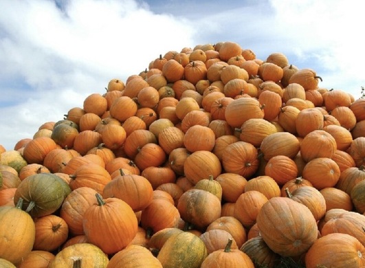 兴盛优选是一个什么平台？如何加盟兴盛优选？