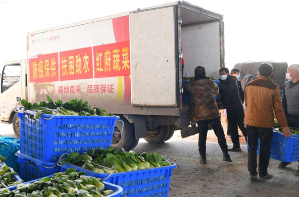 蔬菜运输一般采用什么车？蔬菜运输所采用的车要怎么选择？