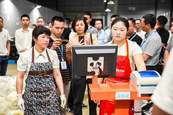 蔬菜配送网站有哪些?盘点四大蔬菜配送平台!