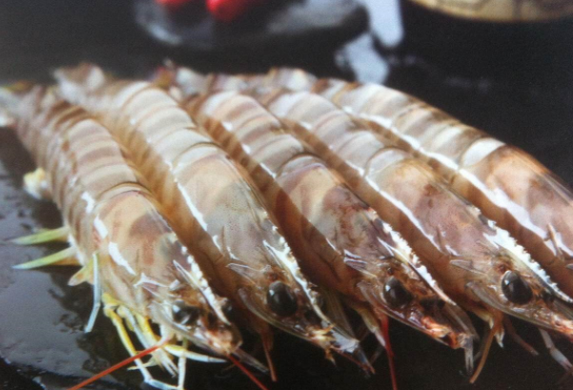 活虾运输2天的技巧是什么？如何提高成活率？