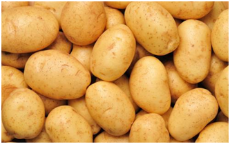 十荟团小程序好在哪里？十荟团的运营模式是什么？