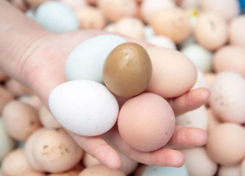 开便利店如何进货呢？便利店进货技巧有哪些？