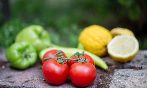 美团菜大全项目怎么样？发展现状如何？