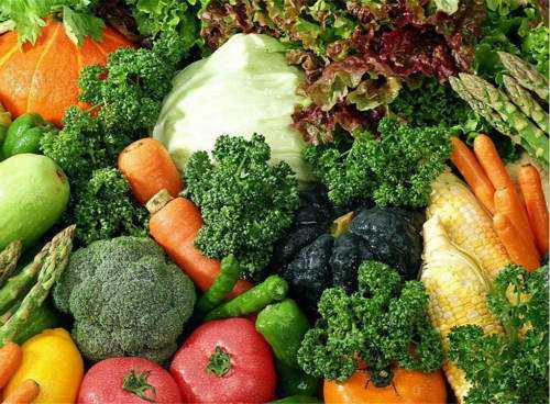 福州活鲜批发市场有哪些？批发活鲜需要注意什么？