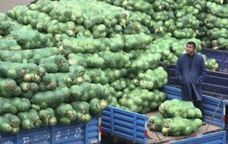 蔬菜批发价格是多少？蔬菜批发价格变化成因是什么？