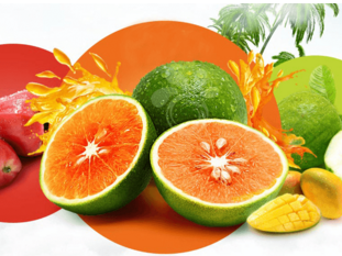 菜市场配送软件哪家好？菜市场配送的难点问题有哪些？