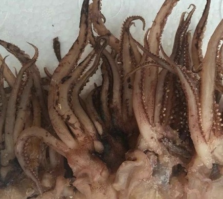 做冷冻生意，冷冻食品电商平台该如何打造核心竞争力？