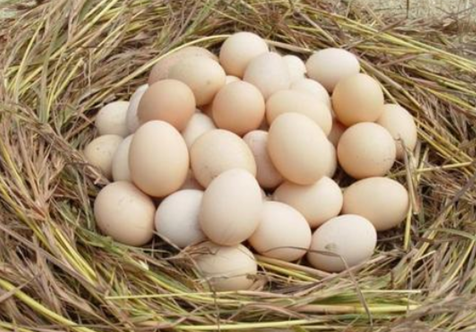 小鹿优鲜运营模式有哪些？小鹿优鲜值得选择吗？