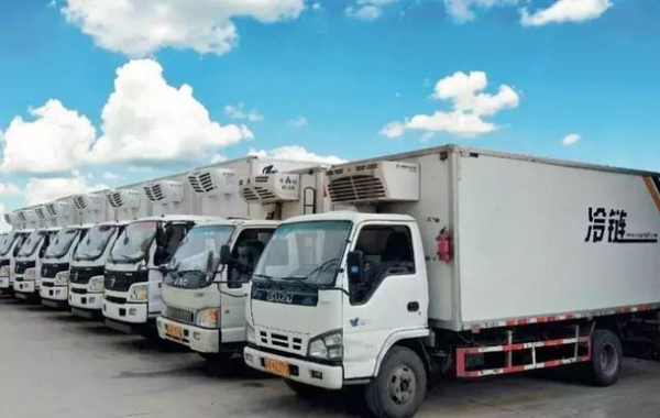 生鲜冷链配送模式有哪些,该如何更好地发展?