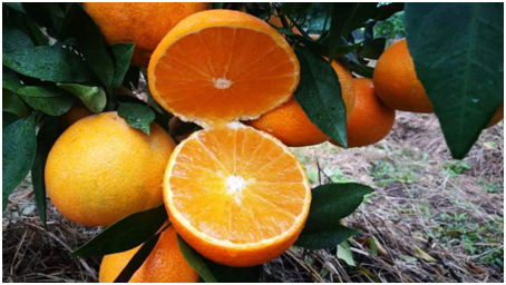 开个生鲜超市怎么进货？开个生鲜超市能赚钱吗？