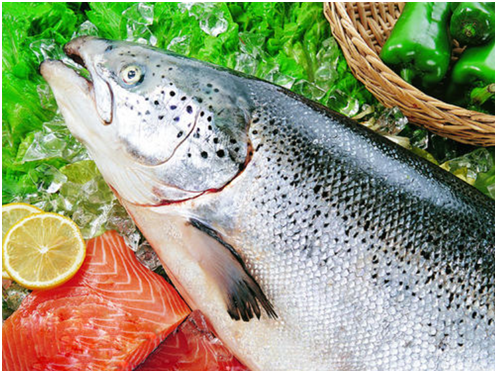 新冻网运营模式是什么？新冻网运营模式有什么优势？