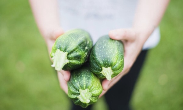 国内外生鲜到家服务兴起,生鲜到家服务有哪些特点?