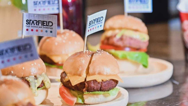 星期零人造肉怎么样？它的味道怎么样？