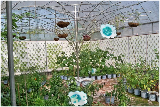 云南最大的蔬菜基地在哪里？云南最大的蔬菜基地有什么优势？