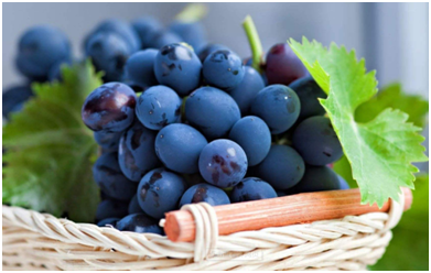 什么是免费生鲜配送软件？免费生鲜配送软件有什么作用？