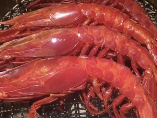生鲜冷冻食品的最佳温度是多少？建立生鲜冷库需要注意什么？