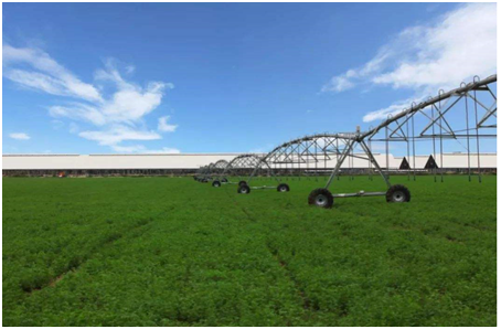 红旗连锁价格贵的原因是什么？市场认同度高吗？