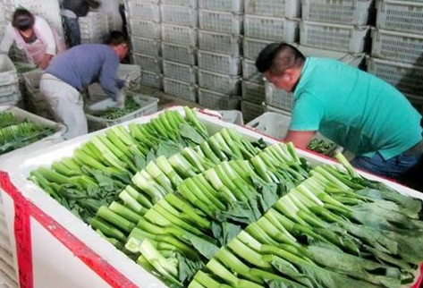 在菜市场做生意收益怎么样？适合菜市场的独门生意有哪些？