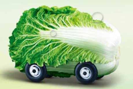 农产品配送有哪些模式？各种农产品配送的优缺点是什么？