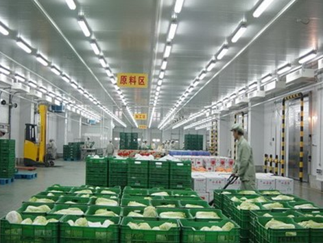 如何提高生鲜分拣准确率？有哪些小技巧？