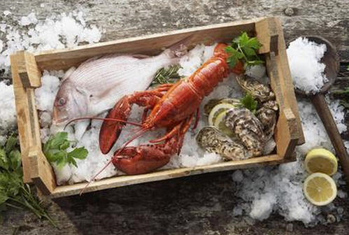 生鲜物流公司有哪些？生鲜运输方式有哪些？