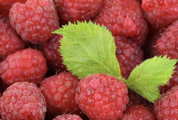 日本生鲜电商oisix为什么发展的这么好?有哪些优点值得我们借鉴?