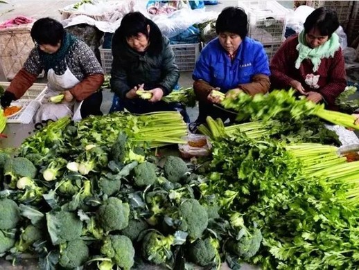 用货车贩菜的利润？自己买货车贩菜赚钱吗？