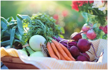 城市生鲜配送电商有哪些？它们的发展如何？