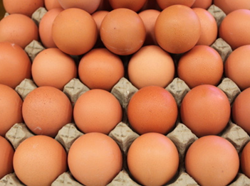 开批发鸡蛋起步怎么做？批发鸡蛋有多大的利润？